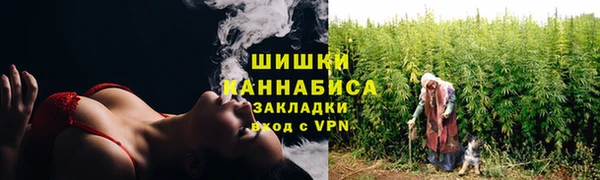 сатива Богородск