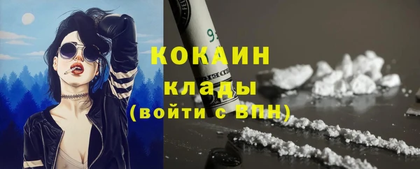 дурь Богородицк