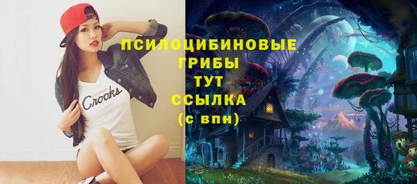 дурь Богородицк