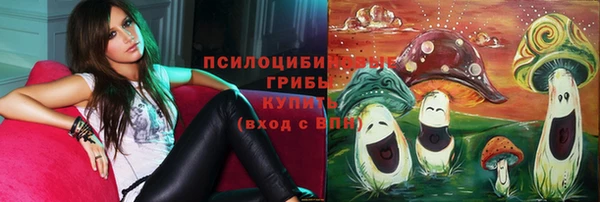 mdma Богданович