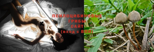 сатива Богородск