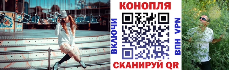 что такое   Усть-Лабинск  Шишки марихуана сатива 